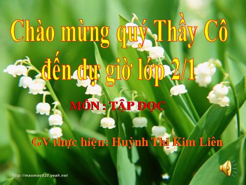 Tuần 28. Kho báu