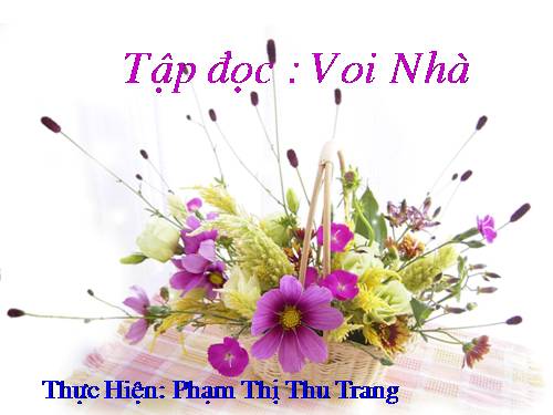 Tuần 24. Voi nhà
