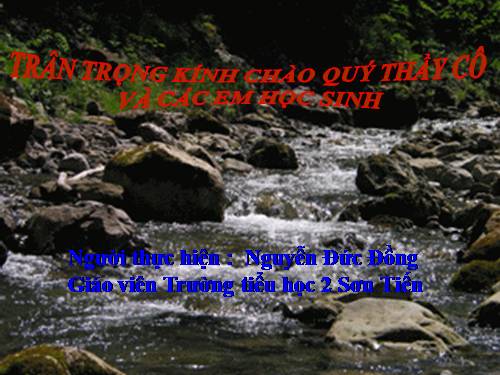 Tuần 23. Nội quy Đảo khỉ