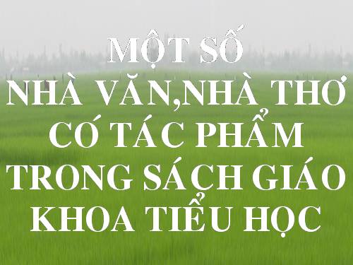 NHÀ VĂN, NHÀ THƠ VIỆT NAM