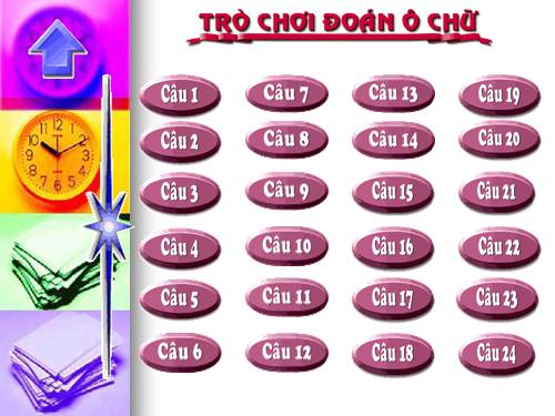 trình chiếu