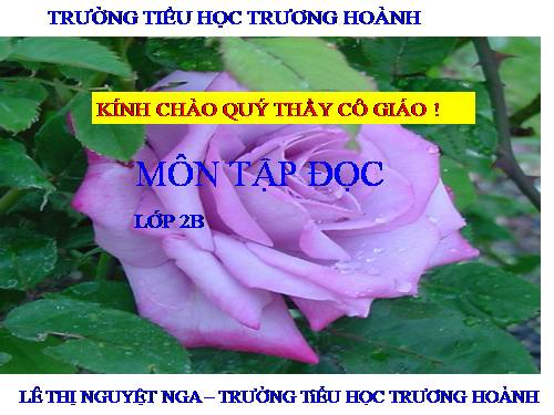 Tuần 8. Bàn tay dịu dàng