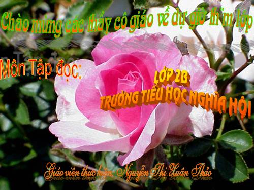 Tuần 12. Mẹ