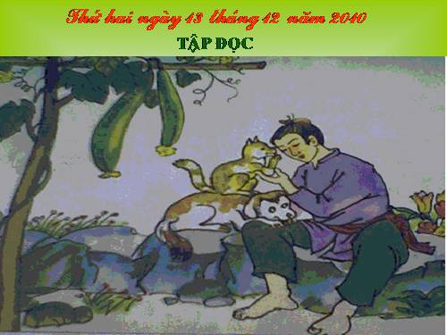 Tuần 17. Tìm ngọc