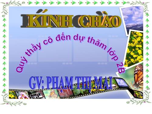 Tuần 13. Quà của bố