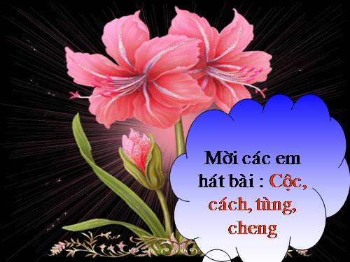 Tuần 15. Bé Hoa