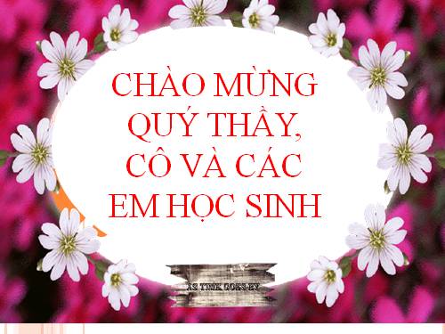 Tuần 28. Cây dừa