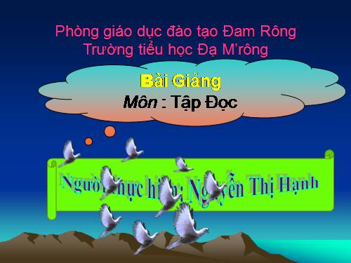 Tuần 8. Bàn tay dịu dàng