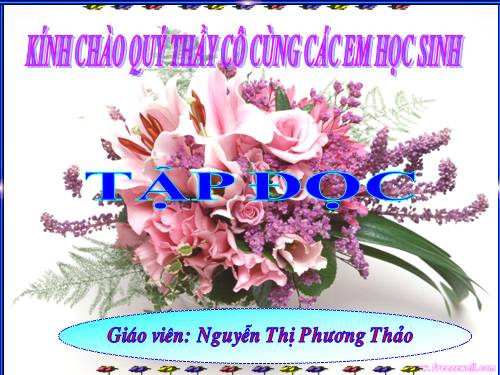 Tuần 12. Mẹ