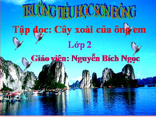 Tuần 11. Cây xoài của ông em