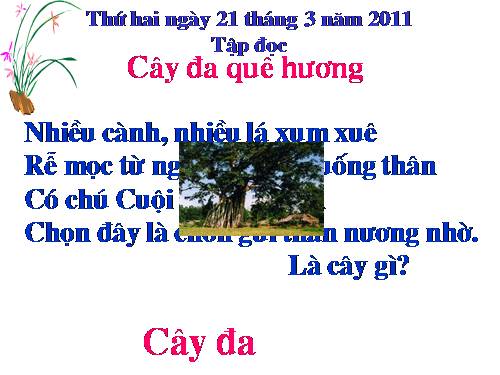 Tuần 29. Cây đa quê hương
