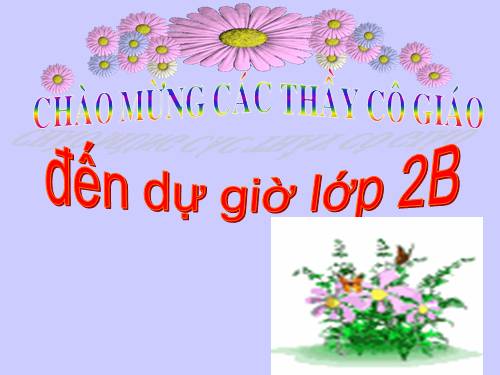 Tuần 17. Tìm ngọc