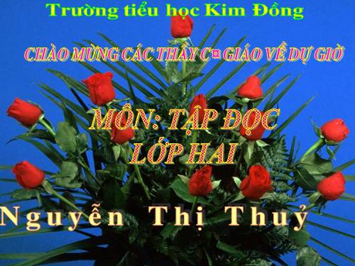 Tuần 28. Cây dừa
