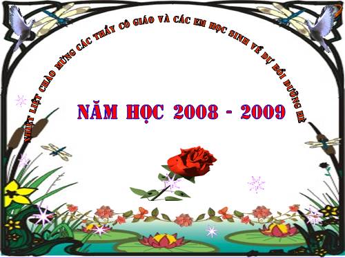 Tuần 28. Cây dừa