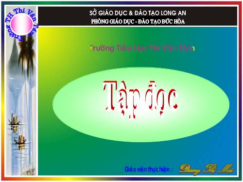 Tuần 8. Bàn tay dịu dàng