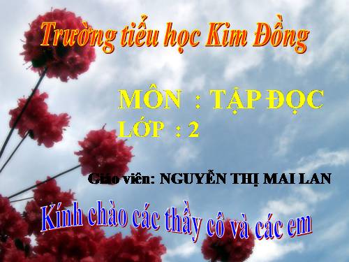 Tuần 8. Bàn tay dịu dàng