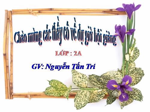 Tuần 8. Bàn tay dịu dàng