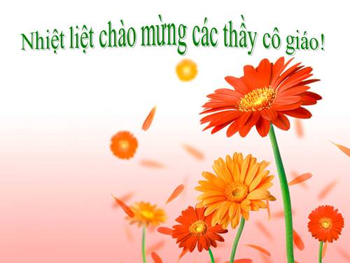 Tuần 8. Bàn tay dịu dàng