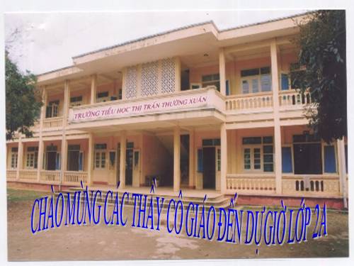Tuần 8. Bàn tay dịu dàng