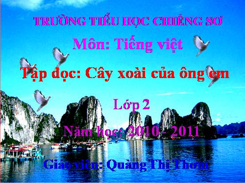 Tuần 11. Cây xoài của ông em