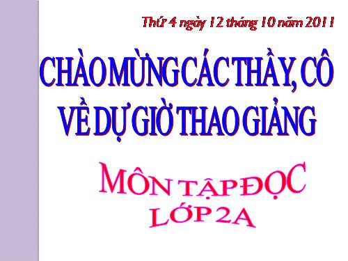 Tuần 8. Bàn tay dịu dàng