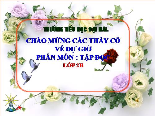 Tuần 20. Mùa xuân đến
