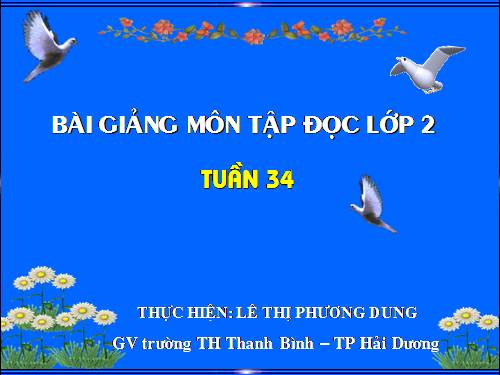 Tuần 34. Đàn bê của anh Hồ Giáo