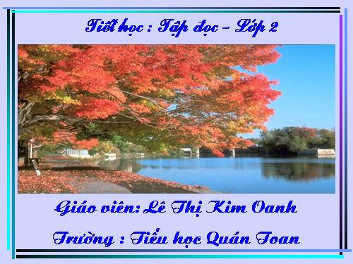 Tuần 13. Bông hoa Niềm Vui