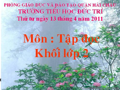 Tuần 31. Cây và hoa bên lăng Bác