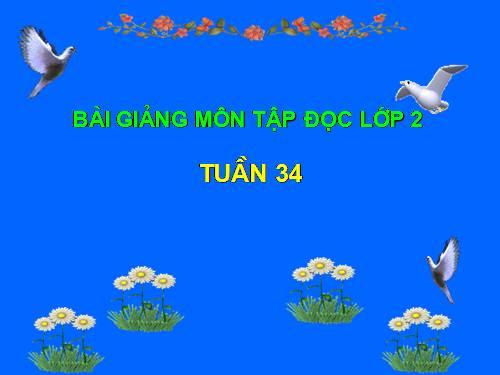 Tuần 34. Đàn bê của anh Hồ Giáo