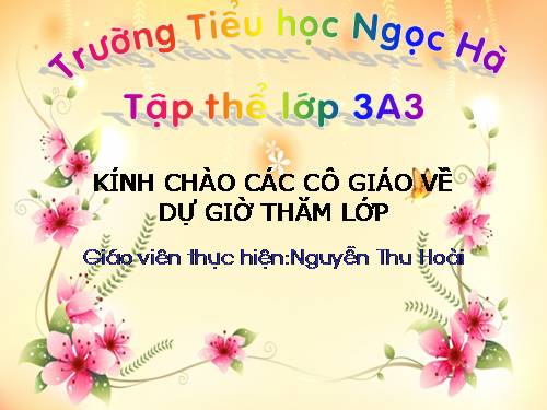 Tuần 28. Cây dừa