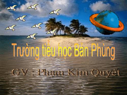 Tuần 32. Chuyện quả bầu