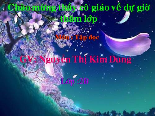 Tuần 28. Cây dừa