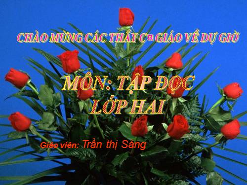 Tuần 28. Cây dừa