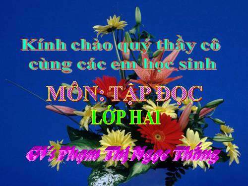 Tuần 20. Mùa xuân đến