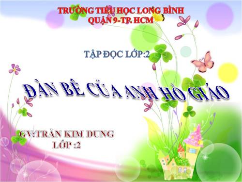 Tuần 34. Đàn bê của anh Hồ Giáo