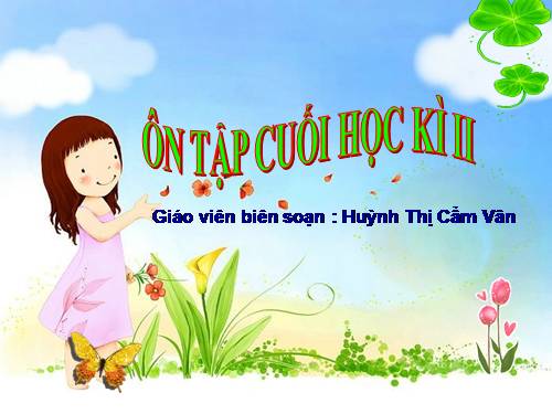 ĐỀ CƯƠNG ÔN TẬP KIỂM TRA CUỐI HKII - LỚP 2