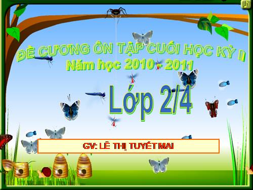 ĐỀ CƯƠNG ÔN TẬP KIỂM TRA CUỐI HKII - LỚP 2