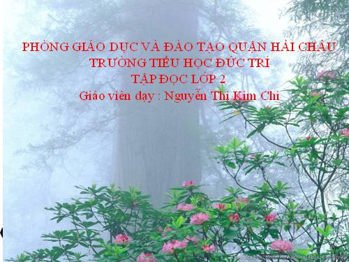 Tuần 32. Tiếng chổi tre