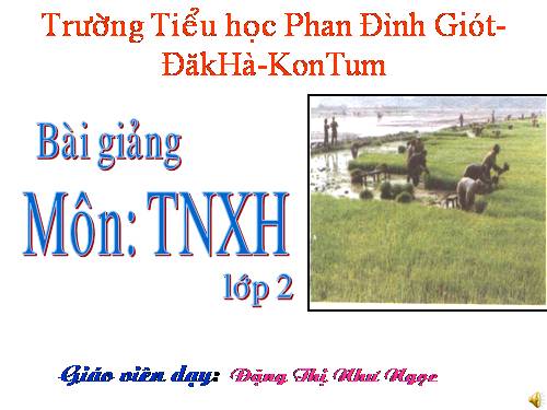 TN-XH lớp 2