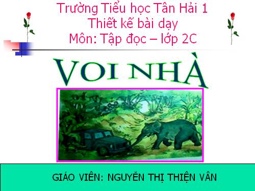 Tuần 24. Voi nhà