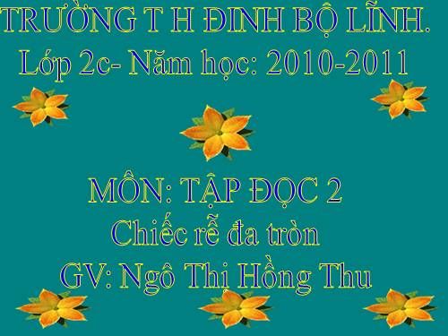 Tuần 31. Chiếc rễ đa tròn