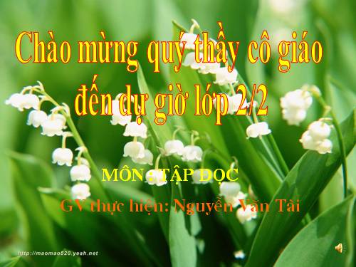Tuần 28. Kho báu