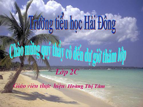 Tuần 28. Cây dừa