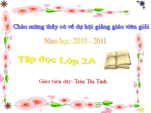 Tuần 28. Cây dừa