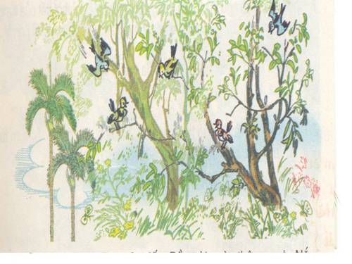 Tuần 20. Mùa xuân đến