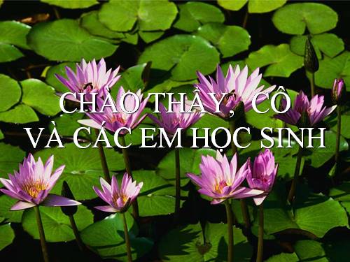 Tuần 22. Cò và Cuốc