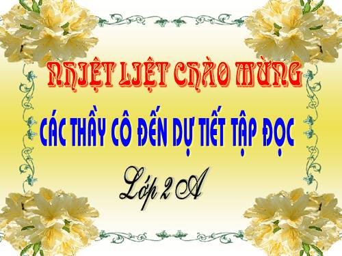 Tuần 25. Bé nhìn biển