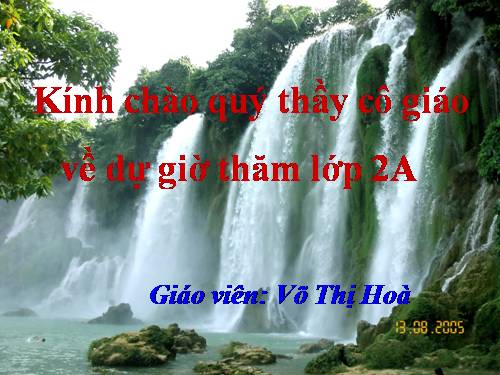 Tuần 24. Voi nhà