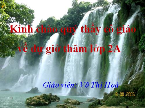 Tuần 24. Voi nhà